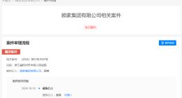 顾江生及顾家集团被强制执行6.5亿