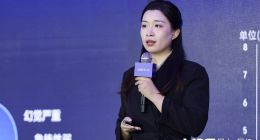 2024 VDC人工智能会场：全新蓝心大模型矩阵，助力开发者高效创新