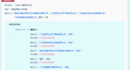 天润数娱等被恢复执行7.7亿