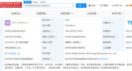俞敏洪卸任莱特兄弟公司董事