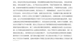 黑猫投诉超4000条，车辆安全问题成神州租车投诉重灾区