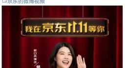 京东金融辟谣因“杨笠事件”遭挤兑，此前被曝无债上门暴力催收引关注