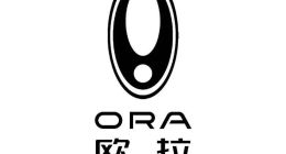 神车洗牌｜号称“更爱女人”的欧拉汽车，正在被女性抛弃