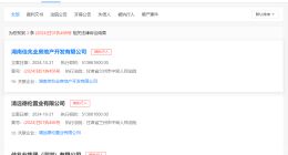 佳兆业等被强制执行5.1亿