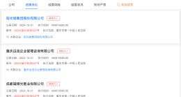 阳光城等被恢复执行4.9亿