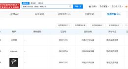 蔚来申请注册蔚来世界模型商标