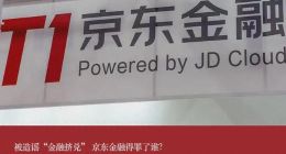 被造谣“金融挤兑” 京东金融得罪了谁？
