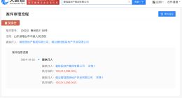 碧桂园地产等被强制执行1.2亿