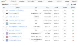 贾跃亭仍被列为老赖 贾跃亭所持多家公司股权已被冻结