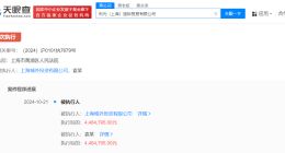 张雨绮前夫袁巴元等被强执448万