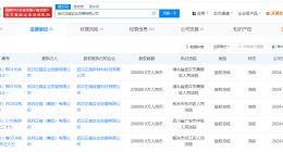 武汉正威所持47.8亿股权被冻结