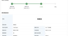 杨妞花已注册个人姓名商标 杨妞花成功注册个人姓名商标