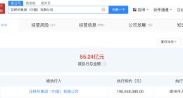 花样年集团等被强制执行1.9亿