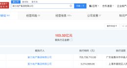 新力地产等被强制执行7亿