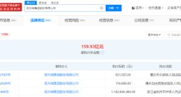 阳光城等被强制执行11.5亿