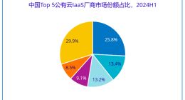 IDC：2024上半年中国PaaS市场阿里巴巴、腾讯、华为、AWS、中国电信居前五