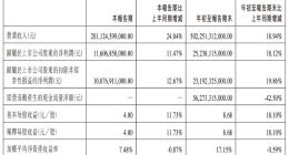 首次超越特斯拉！比亚迪2024年第三季度营收2011亿元
