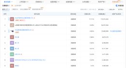 王岩科任凤凰航运董事长 凤凰航运换帅完成工商变更