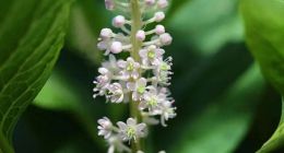 意欲借壳上市？阳光新能源收购泰禾智能，难保业绩与资产质量