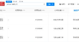 华为申请注册猫头鹰转向商标 华为申请注册鸿蒙智行猫头鹰商标