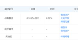 陈睿玩七年电竞“惜败”，哔哩哔哩站在减员关口