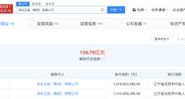 王文银及深圳正威等被强制执行24.2亿