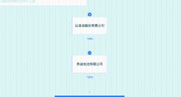 比亚迪在合肥成立实业公司 注册资本1000万