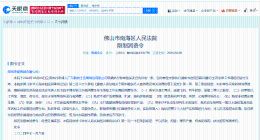 绿地控股集团及张玉良再被限消