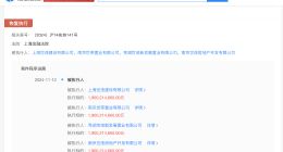 上海世茂建设等被强制执行20.7亿