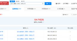 佳兆业等被强制执行19亿