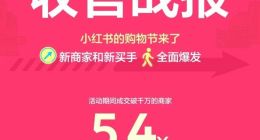 小红书电商1年1度购物狂欢：满足多元新需求，涌现商家买手新面孔