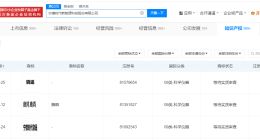 宁德时代申请注册骁遥商标