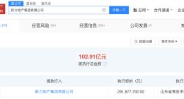 新力地产等被强制执行2.9亿