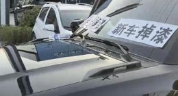 一年不到车面多处掉漆 奇瑞车主当街维权 汽车4S店回应