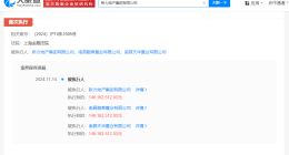 新力地产等被强制执行1.4亿