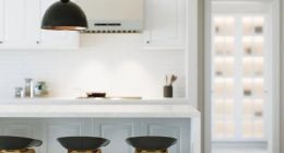 两位数增长目标多难 老板电器还需“蛇打七寸”