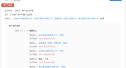 姚振华及宝能地产等被强制执行28.1亿