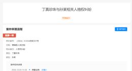 丁真诉网友侵权 丁真新增维权案件