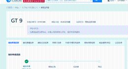 华为申请GT9和GT10商标