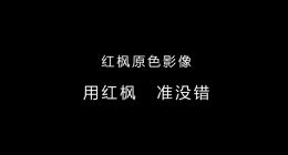 全新华为Mate系列首发“红枫原色影像”，革新下一代色彩影像体验