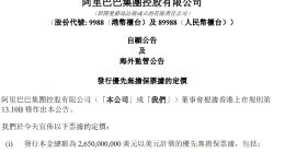 阿里拟发行26.5亿美元和170亿人民币债券 利率最高5.625%