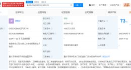 巨人网络在重庆成立科技公司 注册资本1000万