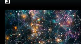 马斯克旗下AI初创公司xAI拟推出独立App 挑战ChatGPT