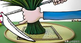 高管变动、产品突停，宝宝树拟霸王条款割经销商“韭菜”？