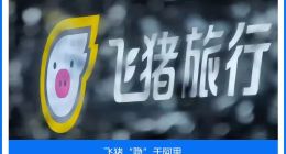 飞猪“隐”于阿里