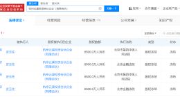 史玉柱所持6500万股权再被冻结