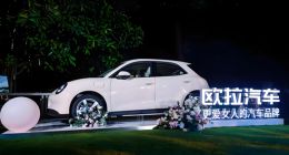 月销量暴跌42%！「更爱女人」的长城欧拉，正被女性抛弃？ | 次世代车研所
