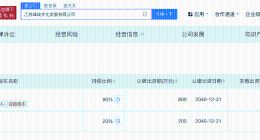 时代峰峻老板名下一公司注销 江苏峰峻文化公司注销