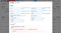 晨鸣纸业所持2000万股权被冻结