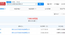 天际汽车旗下青岛零部件公司被强执7965万